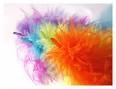 colorfull.jpg